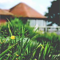 St Peter & St James Hospice New Horizon Appeal