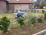 Gardening in Action