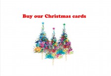 Christmas Cards