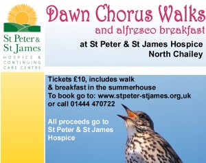 Dawn Chorus Walks 2016