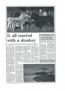 Page 6 - Article